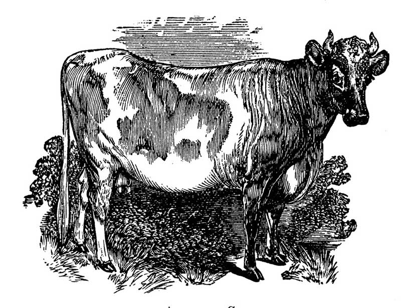 See page for author, Public domain, via Wikimedia Commons